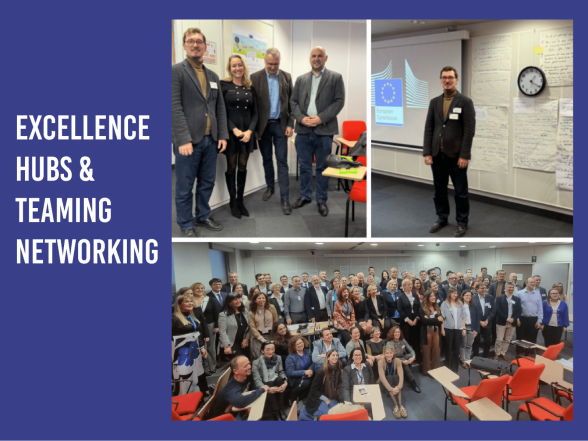 Enhancing research collaboration – participation in the EU TEAMING and Excellence Hubs events